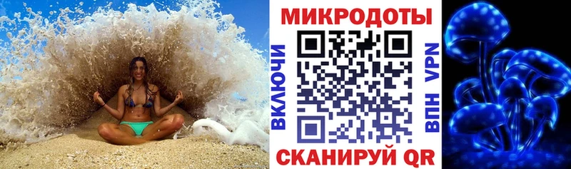 Галлюциногенные грибы Psilocybe  Кирсанов 