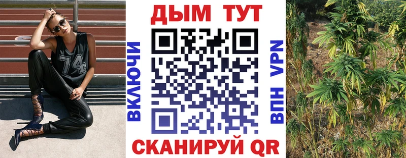 Бошки марихуана OG Kush  МЕГА как войти  Кирсанов 